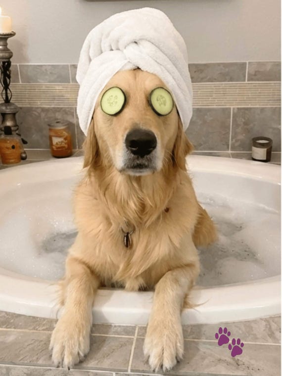 Custom Pet Portrait Canvas: Funny Bathroom Spa Art