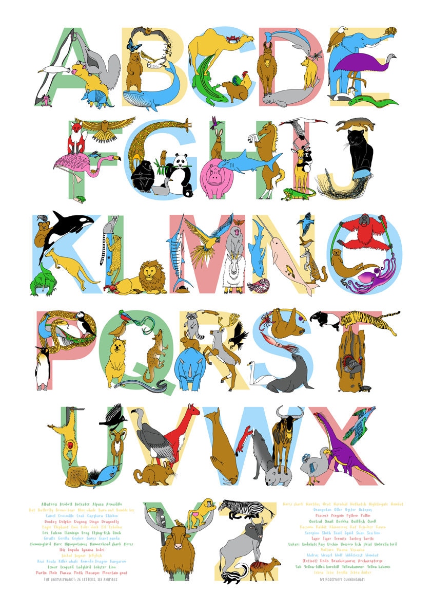 Animalphabet A3 Print the Full Animal Alphabet - Etsy