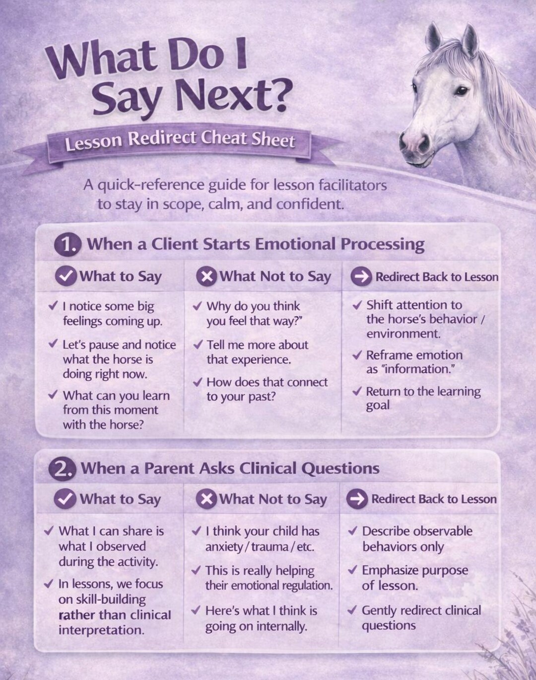 Positive Redirection Script What Do I Say Now? Redirection Scripts for Equine Professionals - Etsy