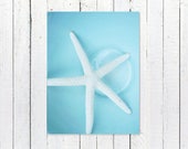 White Starfish Beach House Blue Bowl, Sea Life Art Print Kitchen Wall Art Decor