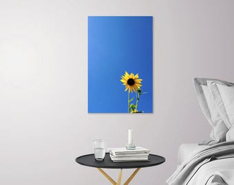 Royal Blue Art | Minimalist Nature Photography | Yellow Flower Photography | Sunflower Art Print | Sunflower Photograph Floral Art Print