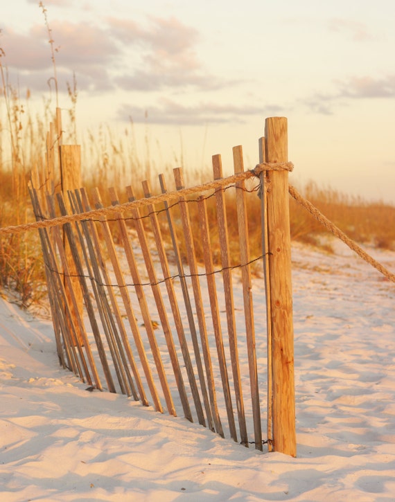 Download Strandzaun wandkunst For iPhone