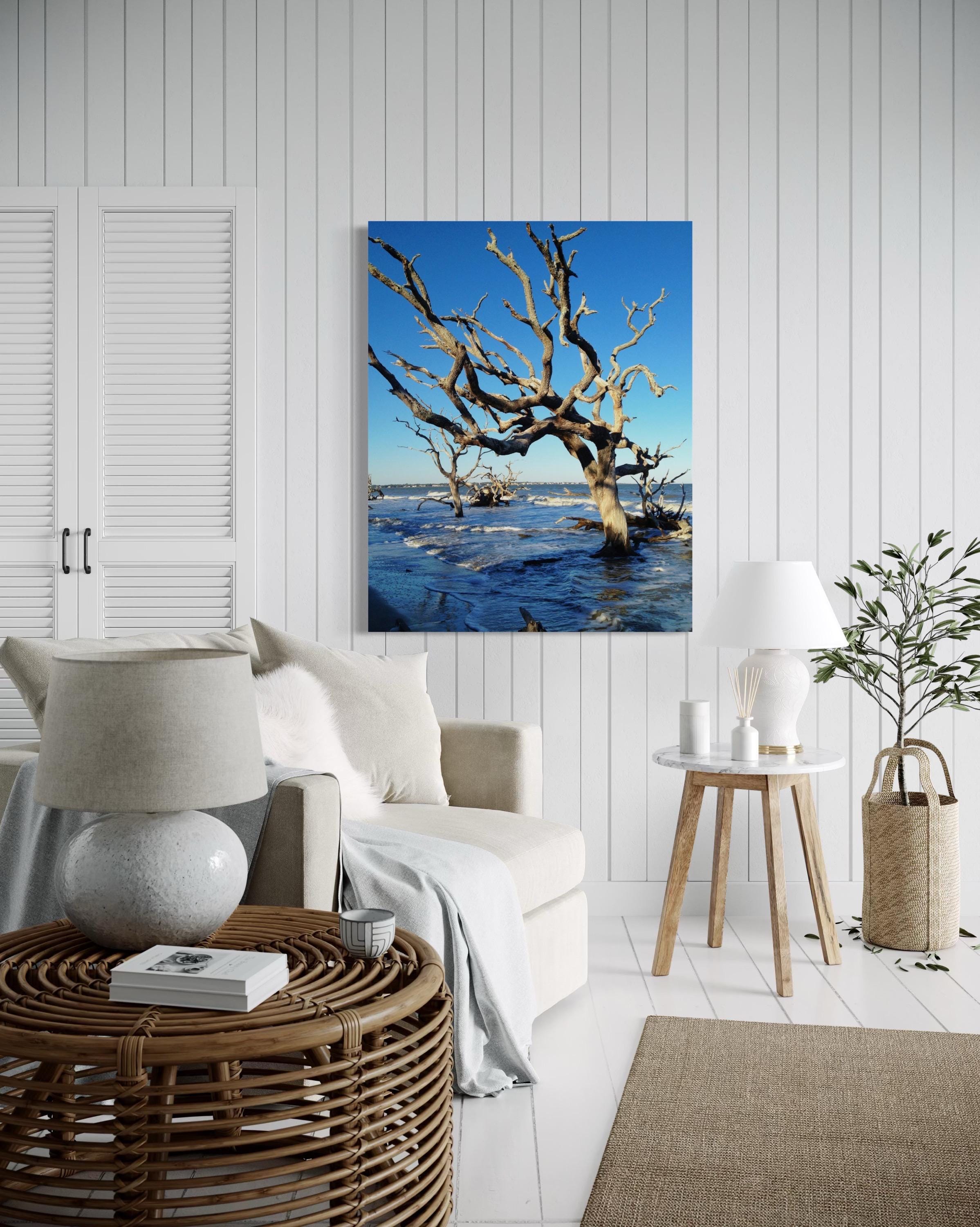Rustic Ocean Driftwood Beach Photography: Rustic Ocean Wave Art, Jekyll Island - Etsy