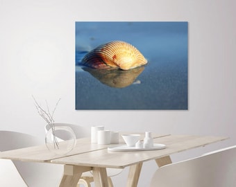Seashell Photography Print: Coastal Beach Home Decor