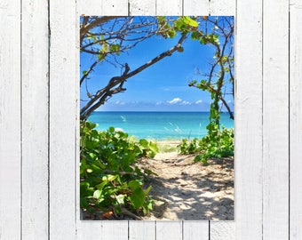 Seascape Art Coastal Decor | Nautical Decor Print | Coastal Photography Print | Blue Sky Turquoise Ocean Greenery Art | Beach House Decor