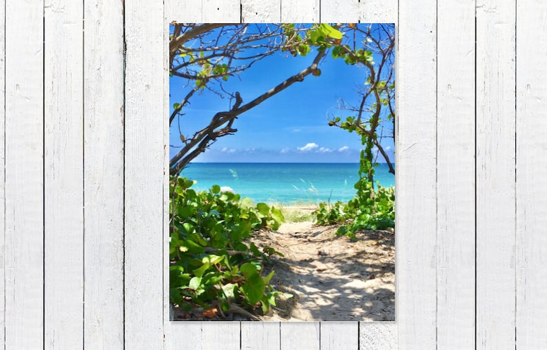 Seascape Art Coastal Decor Nautical Decor Print Coastal Photography Print Blue Sky Turquoise Ocean Greenery Art Beach House Decor image 1