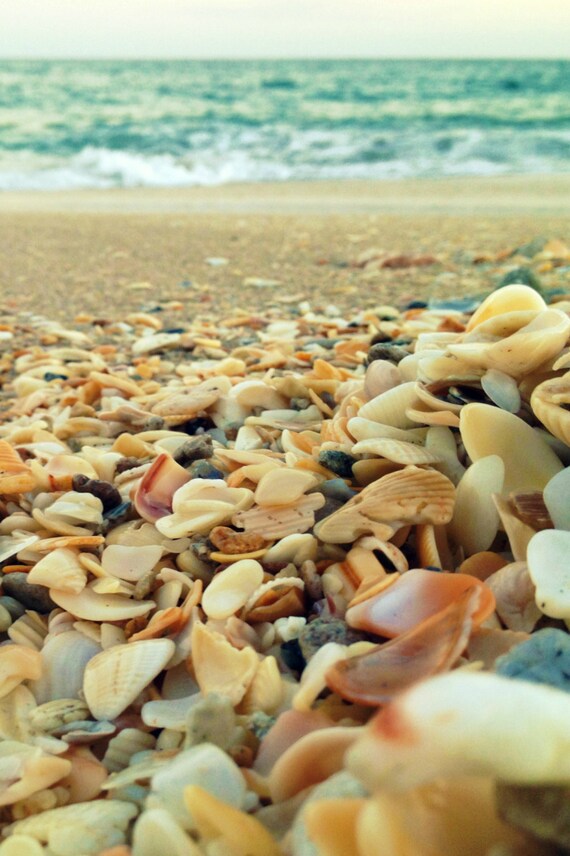 Download Strand themenwandkunst For Free