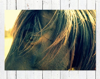 Horse Photography | Horse Art | Horse Photography Prints | Horse Photography Art | Farmhouse Art | Brown Horse Western Decor | Equine Photo