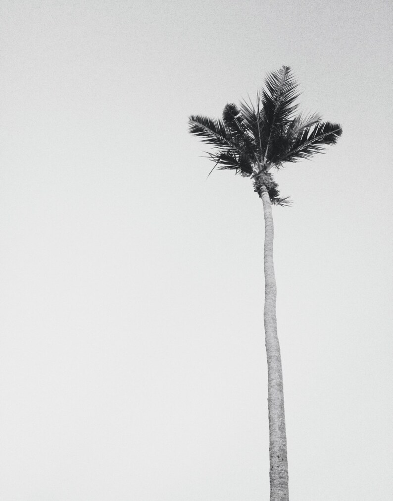 Black white beach photography or color minimalist art etsy