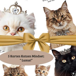 Puede incluir: Un collage con cuatro gatos con coronas y joyas, con una cinta y un lazo dorados. El texto dice "5 Karten Katzen Mindset: Luxus!" en un óvalo beige. Texto adicional es visible en las esquinas superiores.