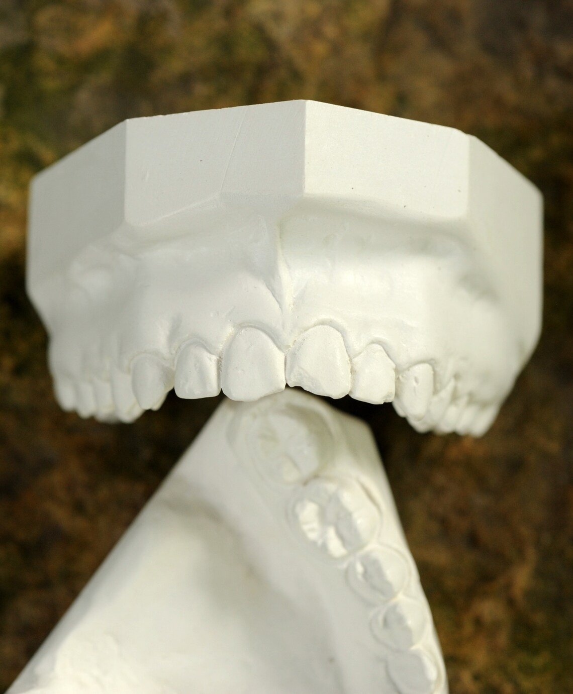 Vintage Dental Mold Plaster Cast / Dentist Plaster Teeth Mold Etsy