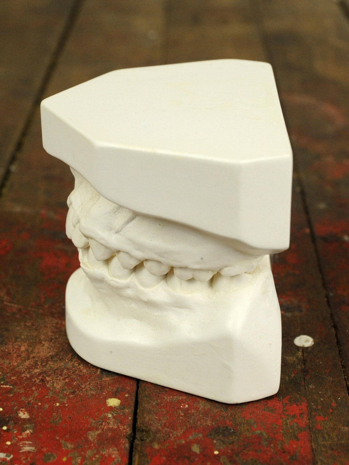 Vintage Dental Mold Plaster Cast / Dentist Plaster Teeth Mold Etsy