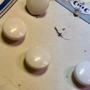5 Vintage White Plastic Buttons: 1950s Le Chic NOS, Made in USA