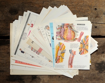 Vintage Anatomical Book Pages: Medical Ephemera for Collage, Scrapbooking