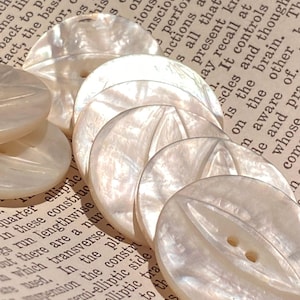 Abalone Shell Buttons: Hand Carved Cat Eye, Matched Pair (1 1/8")