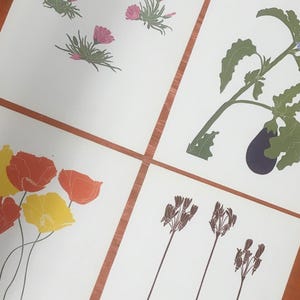 Pode incluir: Quatro impressões separadas em papel branco com ilustrações botânicas. Uma impressão mostra flores cor-de-rosa com folhas verdes, outra uma beringela roxa escura com folhagem verde, uma terceira papoilas vermelhas e amarelas, e a última caules florais castanhos.