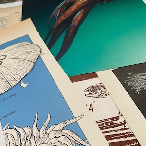 NO FUNDO DO MAR: 1/8 libra de peixes vintage e páginas de livros e papéis relacionados para arte, colagem, diário de lixo, álbum de recortes, artesanato