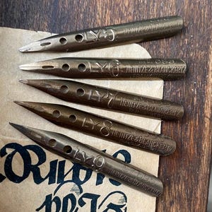 5 Federspitzen: Set von 5 linken schrägen Kalligraphiefedern Serie Heintze Ly (kursiv)