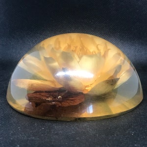 Vintage Large Lucite Floral Paperweight - 1960s Flower Collectible - Man Cave Office Library Home Decor Gift Idea For Him or Her