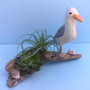SEAGULL FOLK ART, Seagull on Driftwood, Wood Sculpture, Hand Carved, Ocean, Nautical, Beach, Bird, Seagull, Wood, Coastal Decor, Shells
