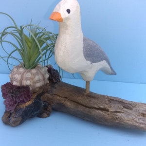 SEAGULL FOLK ART, Seagull on Driftwood, Wood Sculpture, Hand Carved, Ocean, Nautical, Beach, Bird, Seagull, Wood, Coastal Decor, Shells