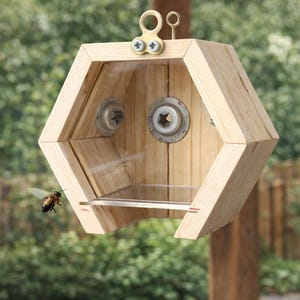 Könnte beinhalten: Ein sechseckiger Vogelfutterspender aus Holz mit einer transparenten Frontplatte und einer kleinen Sitzstange. Der Futterspender hat Metallakzente und hängt im Freien. Eine Biene fliegt auf den Futterspender zu. Der Futterspender soll Vögel anlocken.