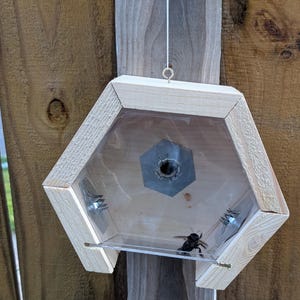 Könnte beinhalten: Ein sechseckiges Bienenhaus aus Holz mit einer transparenten Kunststofffront, das an einer weißen Schnur aufgehängt ist. Das Haus hat einen Metalleinsatz und ein kleines, schwarzes Insekt ist darin sichtbar. Die Struktur ist an einem Holzpfosten befestigt.