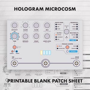 Può includere: Un grafico dell'interfaccia del pedale Hologram Microcosm grigio chiaro con varie manopole di controllo, pulsanti ed etichette tra cui Mico Loop, Glitch, Granules, Multidelay e Phrase Looper. Il design include tre interruttori a pedale circolari e quattro piccoli indicatori rettangolari.