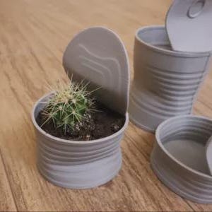 Może przedstawiać: Mały zielony kaktus w szarej doniczce w kształcie puszki z podniesioną pokrywą. Doniczka ma żebrowany wzór i stoi na drewnianej powierzchni. Widoczne są dwie dodatkowe doniczki.