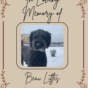 May include: A memorial card featuring a photograph of a black dog in a snowy scene. The text reads "In Loving Memory of Bean Littles", with the dates "Sunrise: 02/14/2018" and "Sunset: 10/15/2024". The design includes floral embellishments.