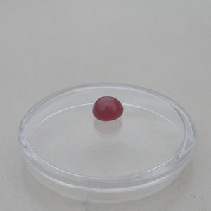 May include: A single, round, pink gemstone in a clear, round dish.