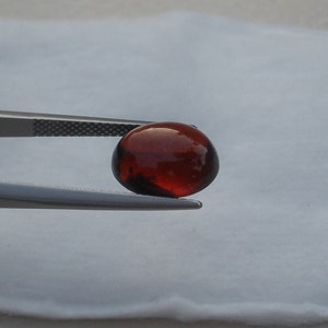 Garnet Oval Cabochon Loose Natural Gem 12 x 10mm