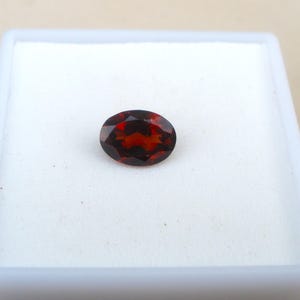 May include: A deep red oval-shaped gemstone in a white display box.