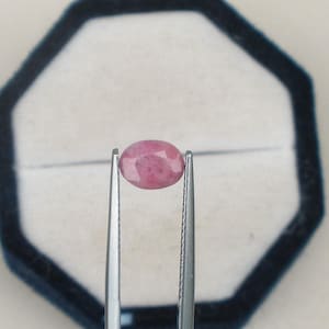 May include: A pink oval gemstone held by silver tweezers. The gemstone has a polished surface and is set against a dark blue velvet background. The gem's color is a mix of light and dark pink hues.