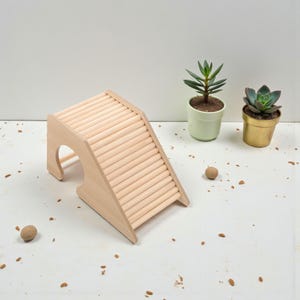 May include: A wooden hamster ramp with a curved archway and slatted steps. The ramp is made of light-colored wood and is designed for small pets. Two small potted plants and a small ball are also in the image.