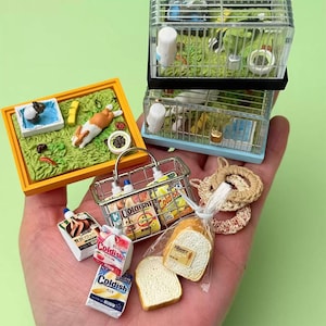 Dollhouse Miniature Jelly Toast Set - Fruit Vanilla Bread Rabbit Cage Pot Pad Tiny Kitchen Pet, gifts