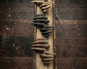 May include: An antique book with a weathered cover, adorned with several sets of claw-like objects in varying colors. The claws are arranged vertically along the spine, with colors ranging from beige to dark brown and reddish-brown.