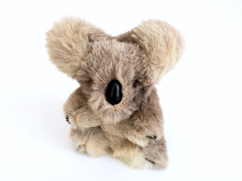 stuffed koala bear real fur