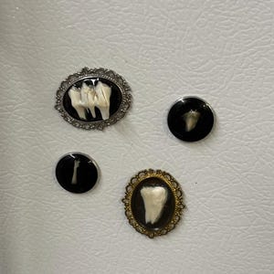 May include: Four pieces of jewelry featuring teeth. Two are oval-shaped with ornate frames, one silver and one gold. The other two are round, black, and simple. The teeth are white against a black background.