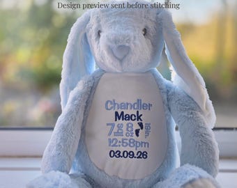 Dettagli di nascita personalizzati Teddy – Nome, data e peso del bambino – Regalo personalizzato