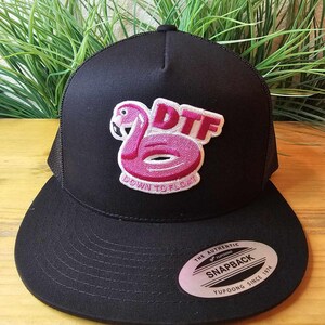 May include: Black snapback hat with a pink flamingo float patch. The patch features the letters "DTF" and the words "Down to Float". The hat has a flat brim and a mesh back.