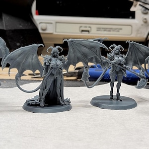 May include: Four gray miniature figurines of winged female demons with horns, each posed differently. They are on circular bases, with detailed wings and weapons. The figures are unpainted and appear to be made of plastic or resin.