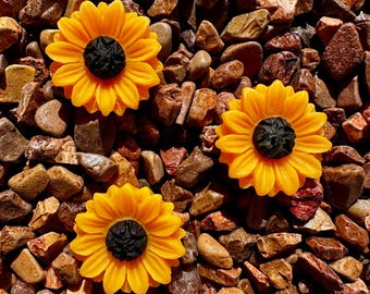 Mini pines de girasol (paquete de 3)