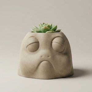 Może przedstawiać: Beżowa donica w kształcie twarzy z rośliną sukulentową. Donica ma smutny wzór twarzy z zamkniętymi oczami i opadającymi ustami. Sukulent ma zielone liście.