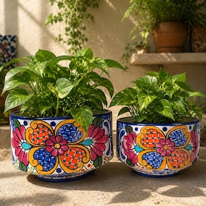 May include: Two ceramic planters with colorful floral designs. The planters are blue, orange, pink, and yellow, with a detailed pattern. Each planter holds a green leafy plant. The planters are sitting on a concrete surface.