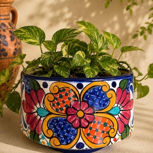 May include: A vibrant, hand-painted ceramic planter with a colorful floral design in shades of blue, red, orange, and yellow. The planter is filled with green and yellow variegated pothos plants. A decorative vase is visible in the background.