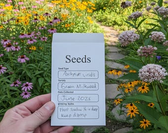 Green Milkweed Seeds (x100) (Texas Native) Asclepias viridis - Monarch Butterfly host plant!