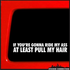 Può includere: Adesivo con testo bianco su sfondo nero: "IF YOU'RE GONNA RIDE MY ASS AT LEAST PULL MY HAIR." Cornice rossa e logo skyline di una città nell'angolo in basso a destra.