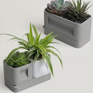 May include: Two gray rectangular planters with ribbed sides and built-in trays. One planter holds a variety of succulents and the other holds a spider plant. The planters are on a white background.