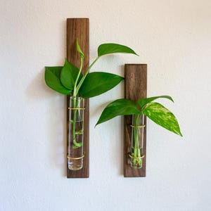 Willow | Wood Metal Propagation Station Bud Vase Wall Mounted Plant Decor image 1